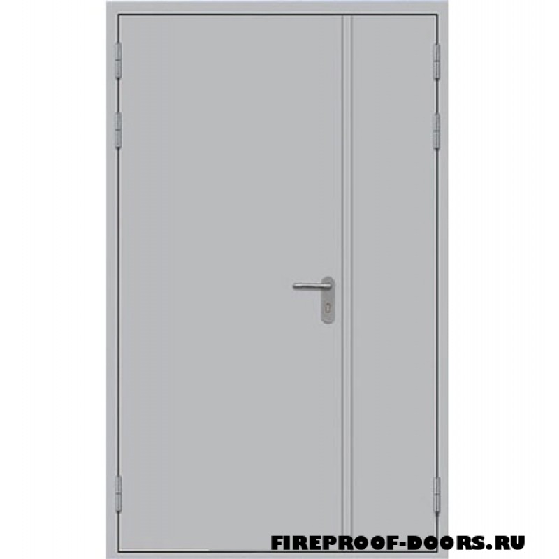 Дверь противопожарная полуторная глухая EI-60 ДПМ-05